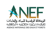 logo_ANEF